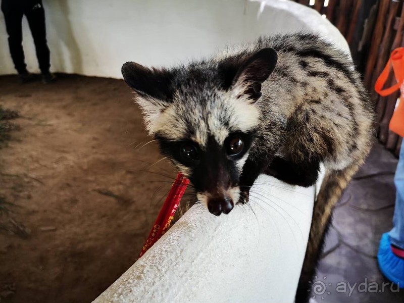 фото Grand Jomtien Palace