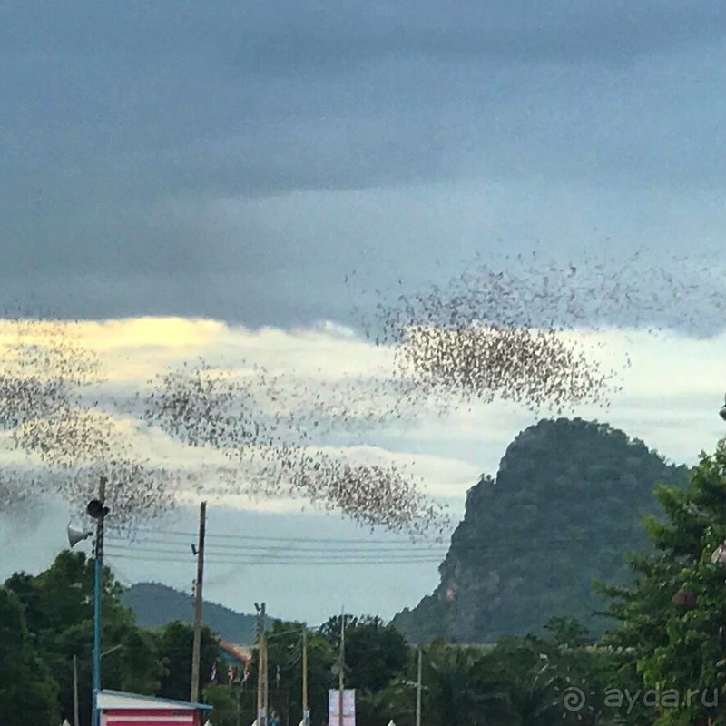 фото Grand Jomtien Palace