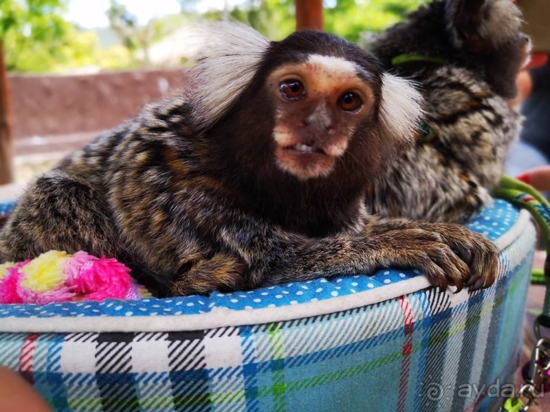 фото Grand Jomtien Palace