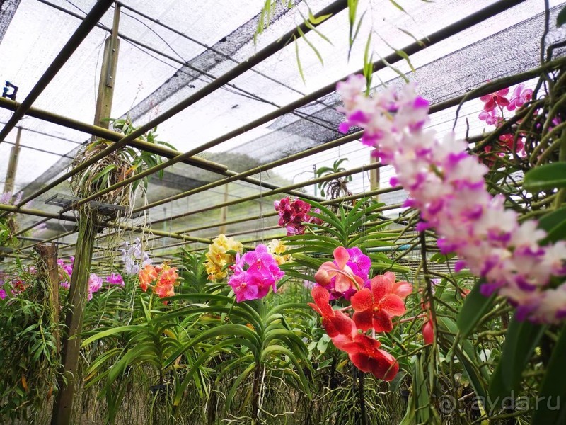 фото Grand Jomtien Palace