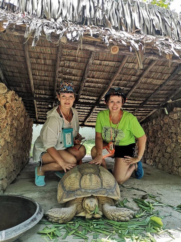 фото Grand Jomtien Palace