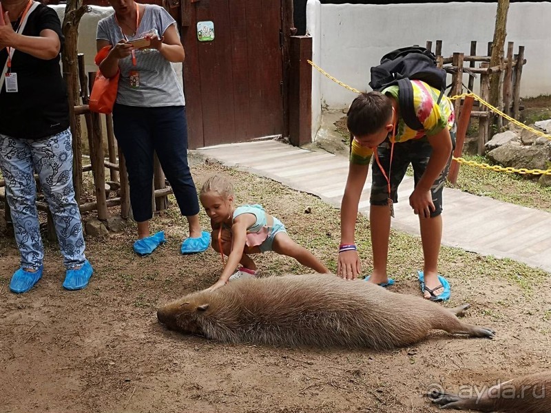 фото Grand Jomtien Palace