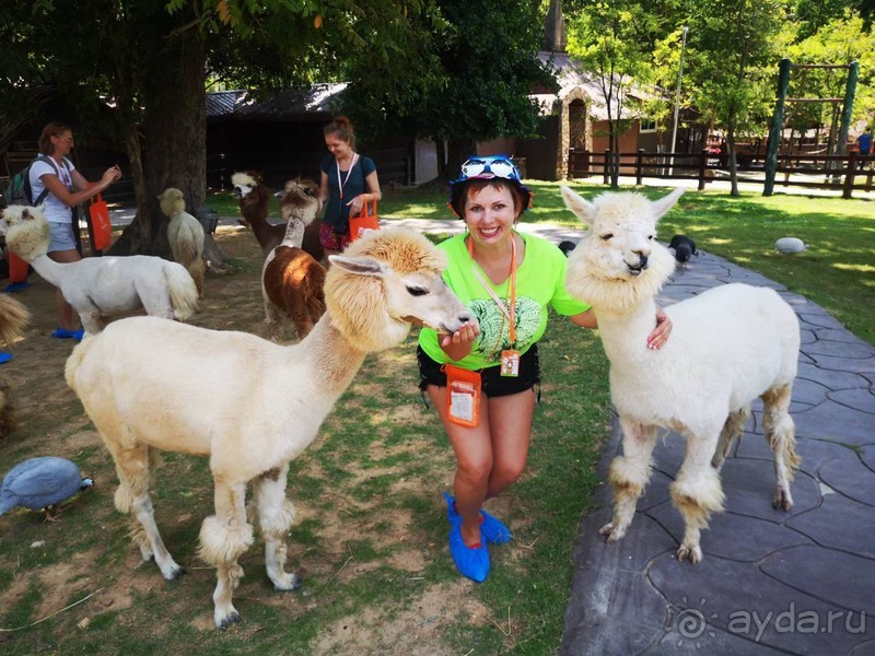 фото Grand Jomtien Palace