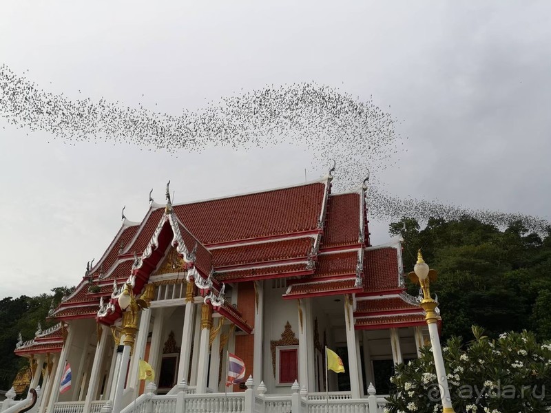 фото Grand Jomtien Palace