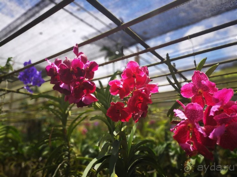 фото Grand Jomtien Palace