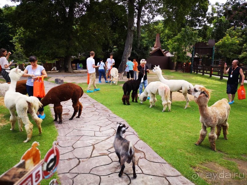фото Grand Jomtien Palace