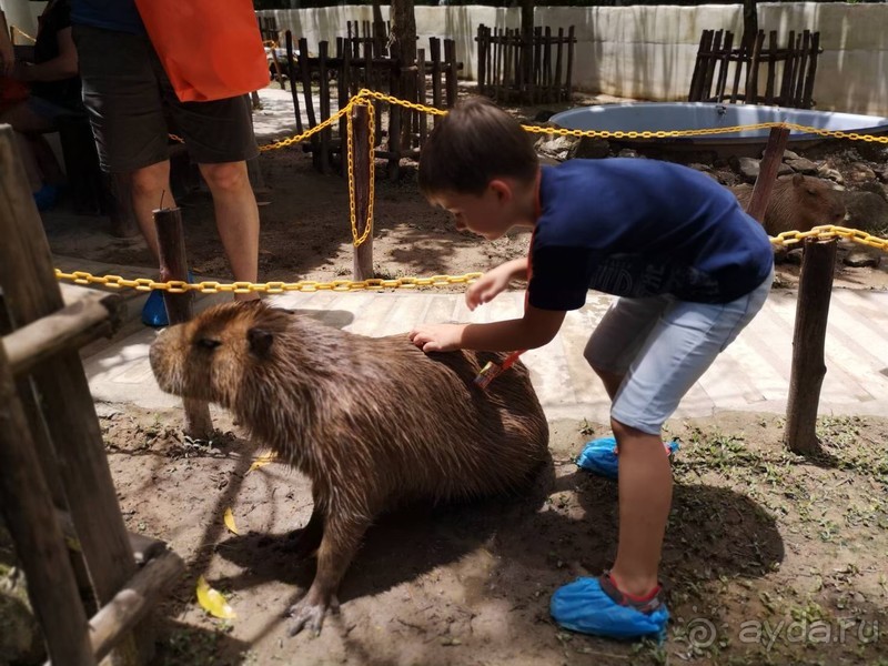 фото Grand Jomtien Palace