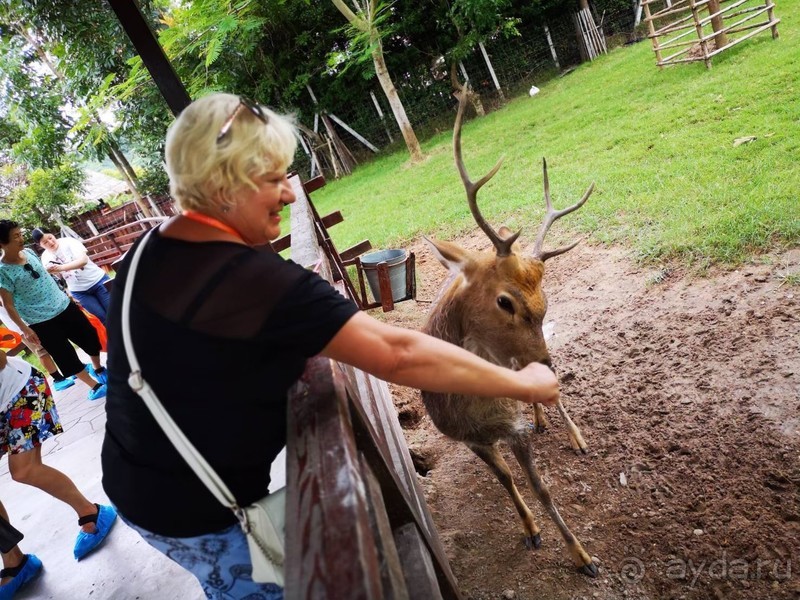 фото Grand Jomtien Palace