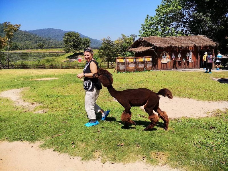 фото Grand Jomtien Palace