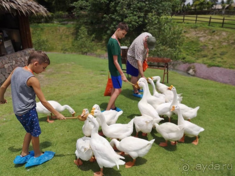 фото Grand Jomtien Palace