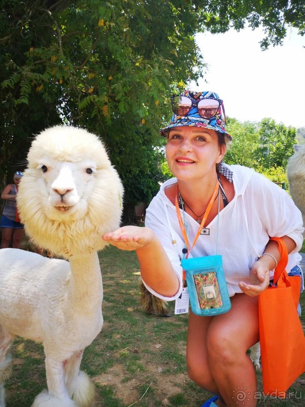 фото Grand Jomtien Palace