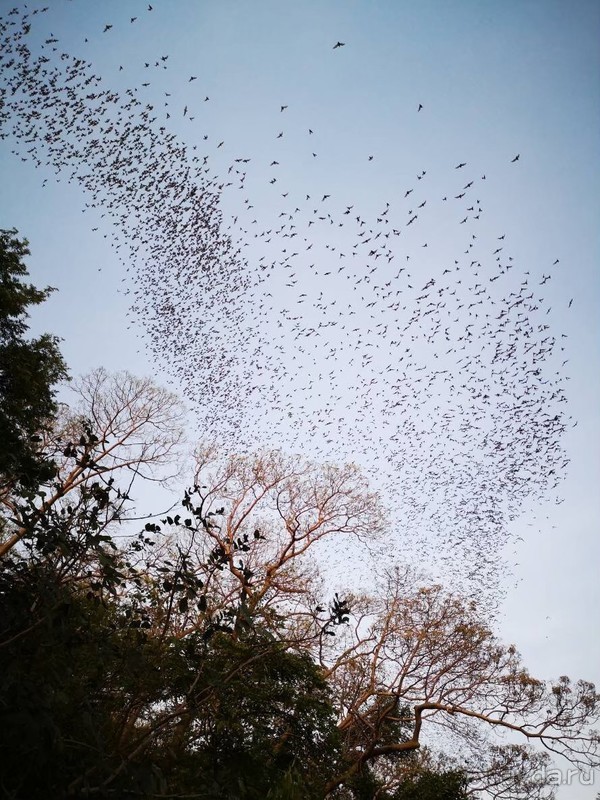 фото Grand Jomtien Palace