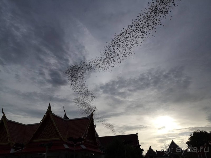 фото Grand Jomtien Palace