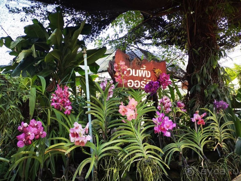 фото Grand Jomtien Palace