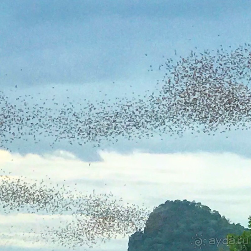 фото Grand Jomtien Palace