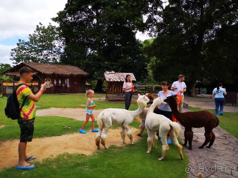 фото Grand Jomtien Palace