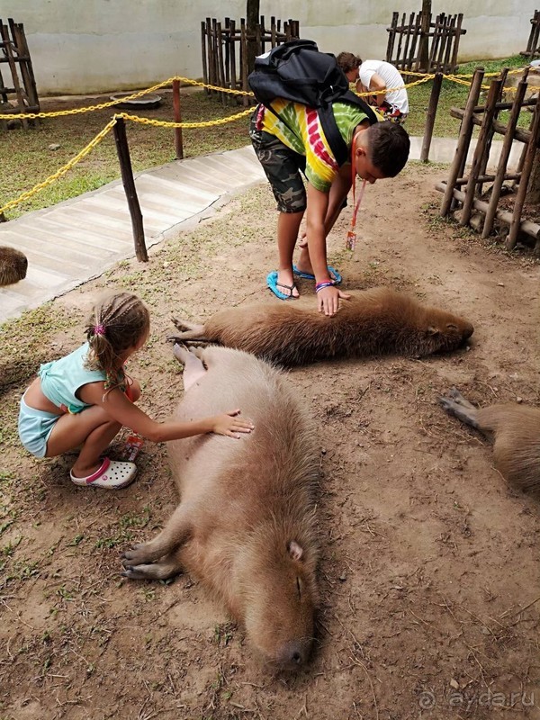 фото Grand Jomtien Palace