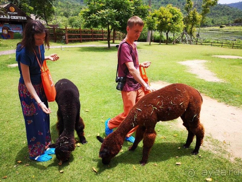 фото Grand Jomtien Palace