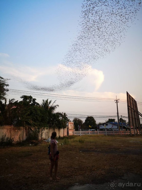 фото Grand Jomtien Palace