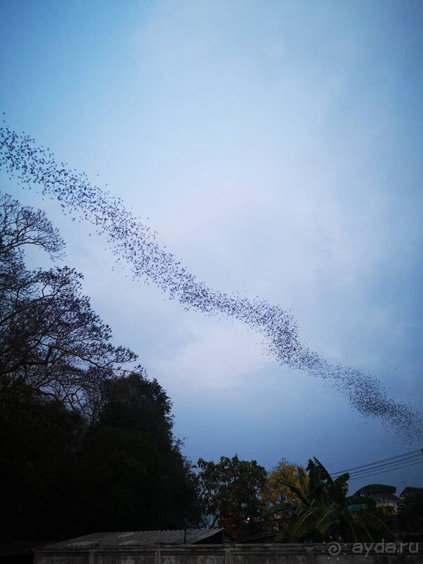 фото Grand Jomtien Palace