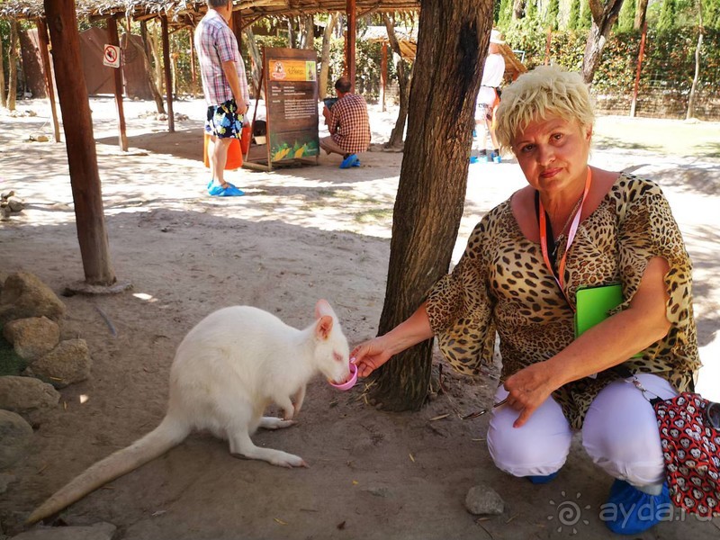 фото Grand Jomtien Palace