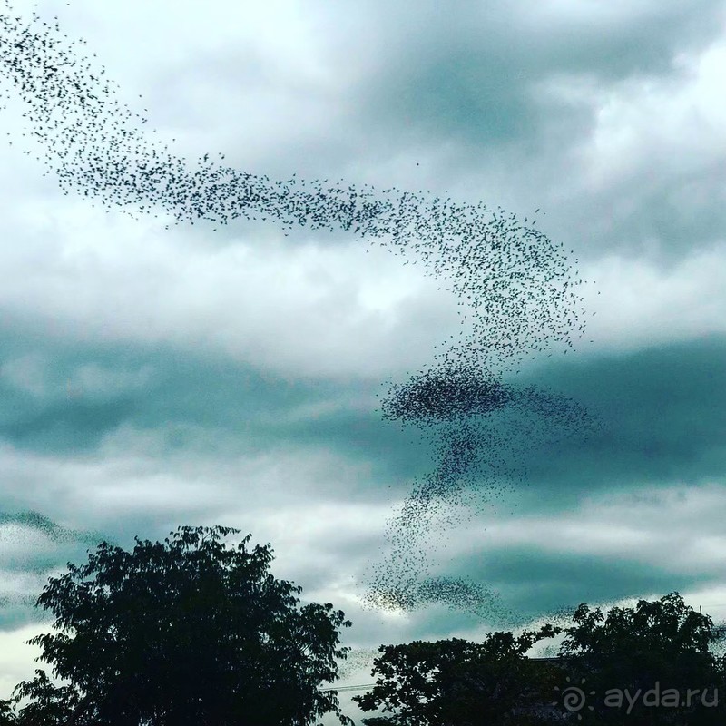 фото Grand Jomtien Palace