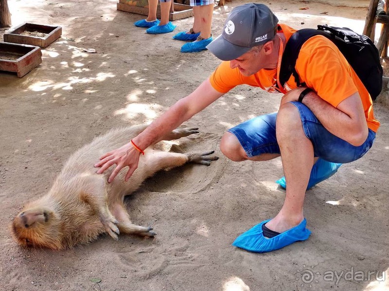 фото Grand Jomtien Palace