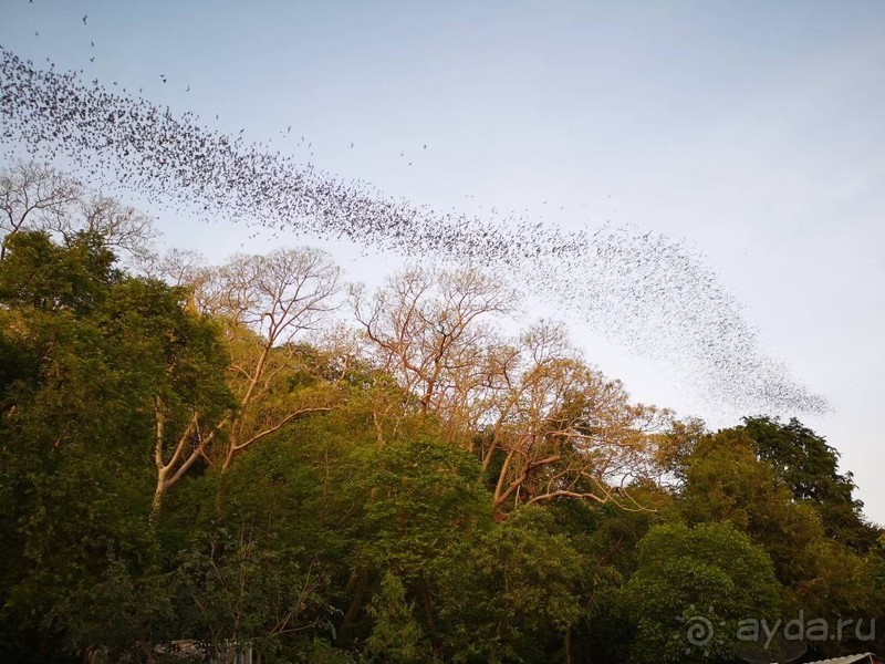 фото Grand Jomtien Palace