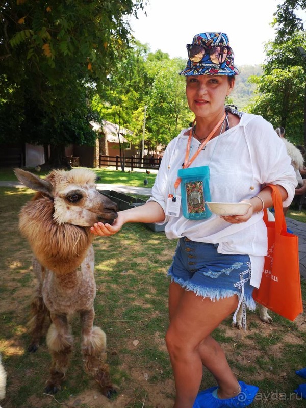 фото Grand Jomtien Palace