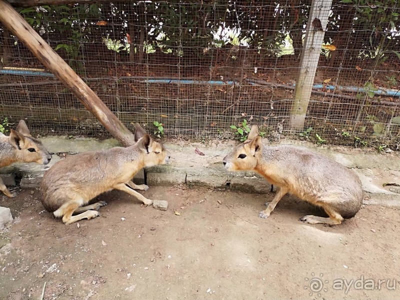 фото Grand Jomtien Palace