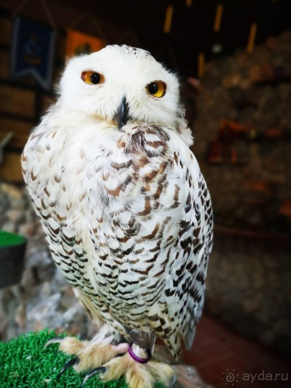 фото Grand Jomtien Palace