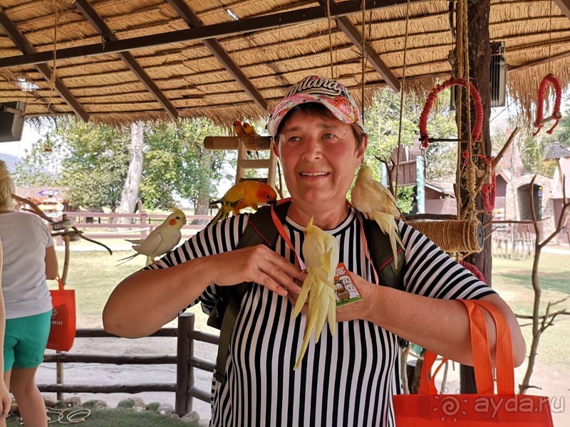 фото Grand Jomtien Palace