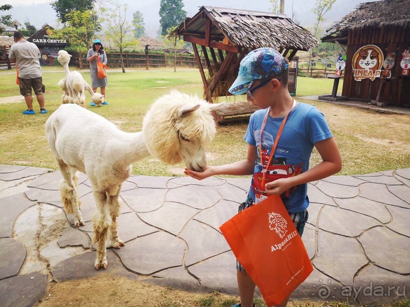 фото Grand Jomtien Palace