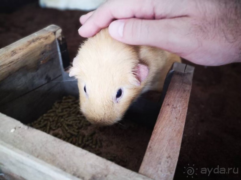 фото Grand Jomtien Palace
