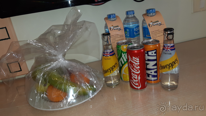 Отличный отдых на берегу Красного моря