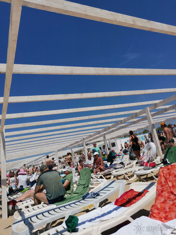 Ужас, кошмарный сон. 