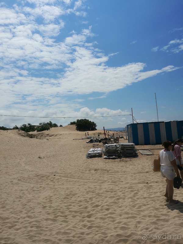 Ужас, кошмарный сон. 