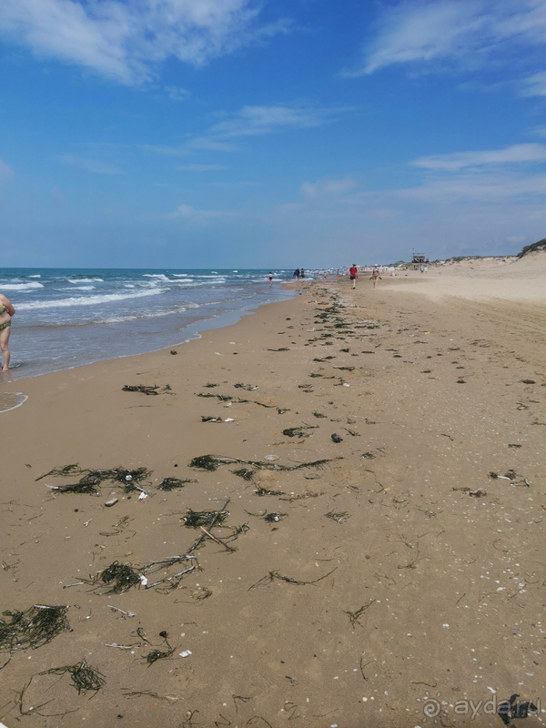 Ужас, кошмарный сон. 