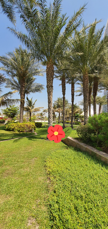 Отличный отдых с детьми