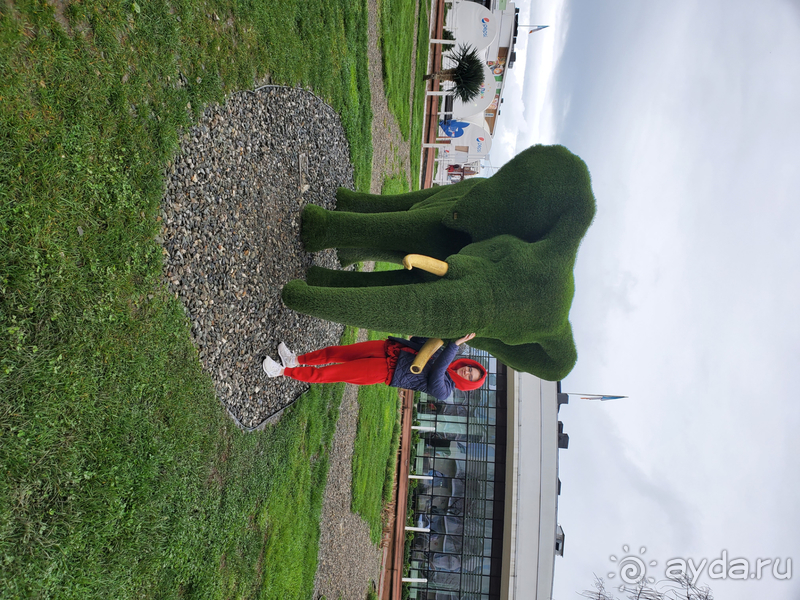 Первый раз в Сочи