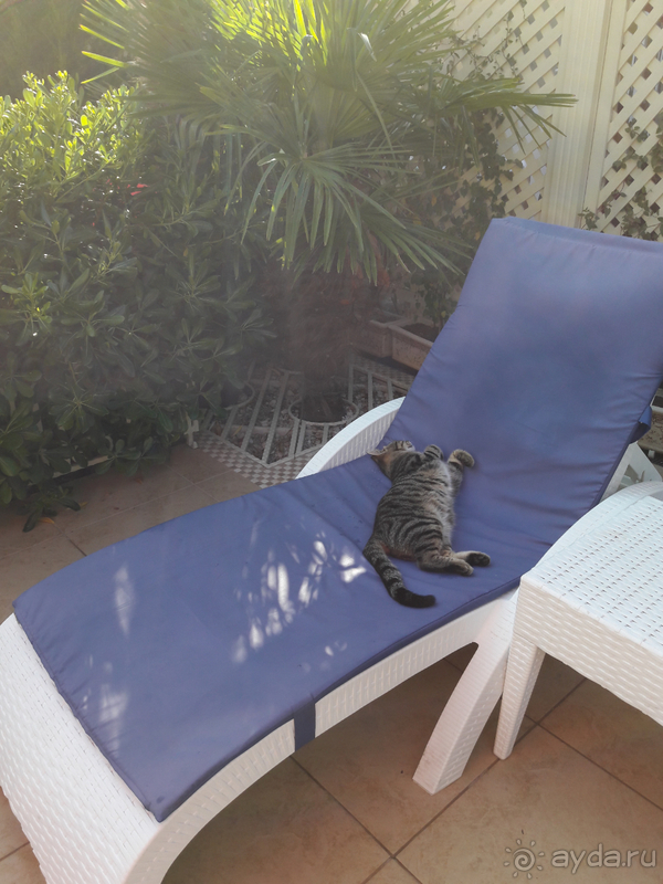 Однозначно, лучший отель !