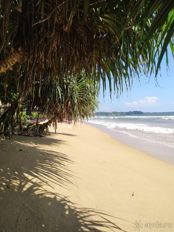 Отличный сервис и интерьер