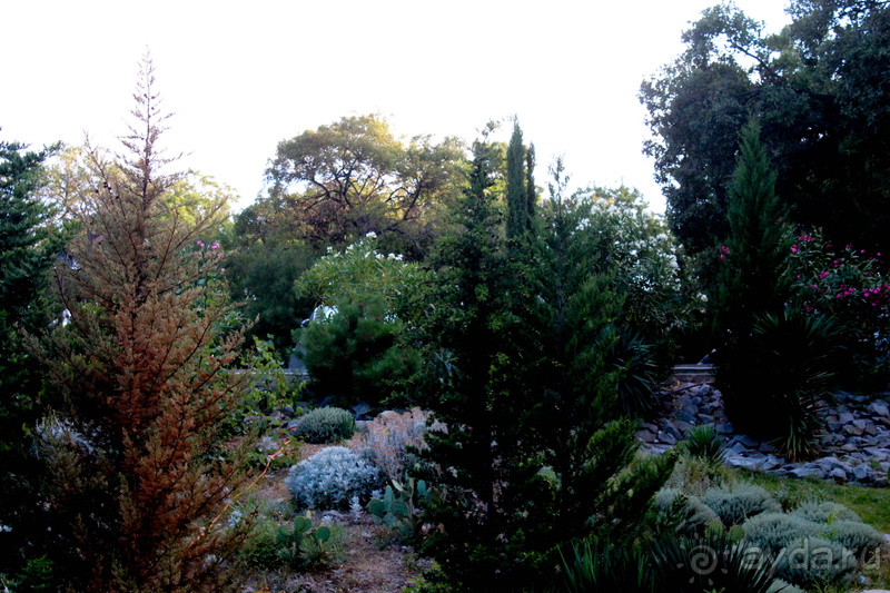 Зеленый рай на берегу моря