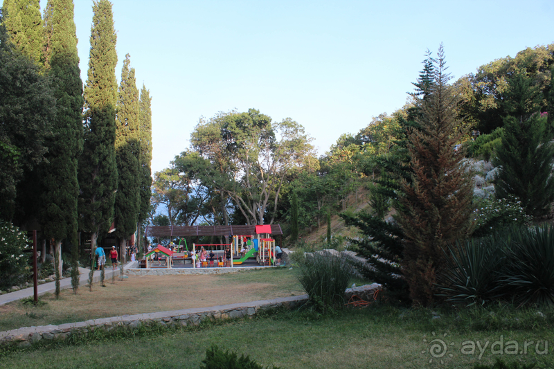 Зеленый рай на берегу моря