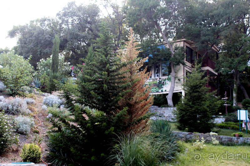 Зеленый рай на берегу моря