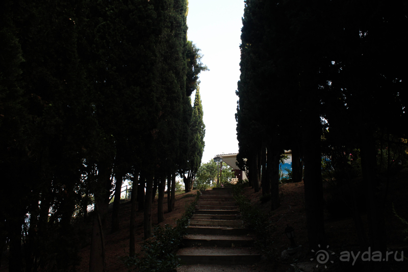 Зеленый рай на берегу моря