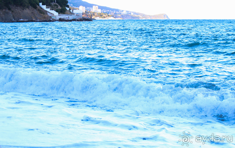 Зеленый рай на берегу моря