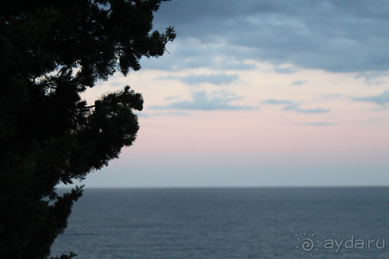 Зеленый рай на берегу моря