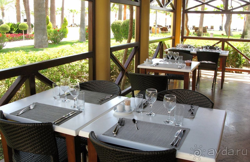 Жаркая неделя в Пальмие