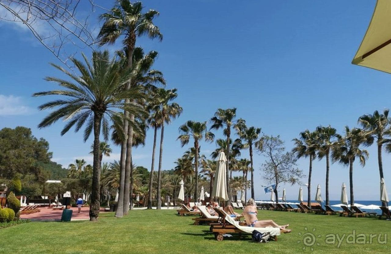 Жаркая неделя в Пальмие